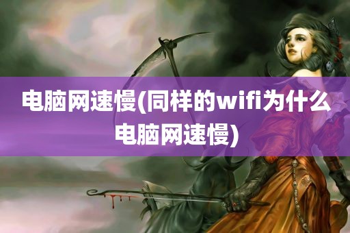 电脑网速慢(同样的wifi为什么电脑网速慢)