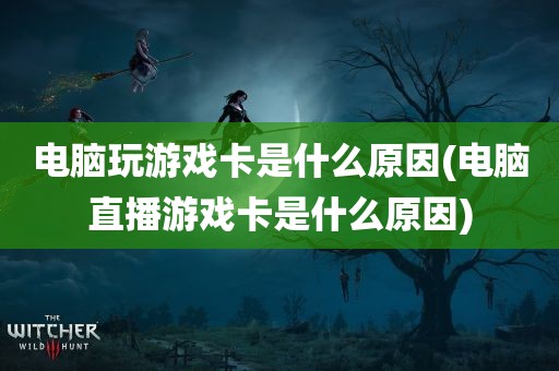 电脑玩游戏卡是什么原因(电脑直播游戏卡是什么原因)