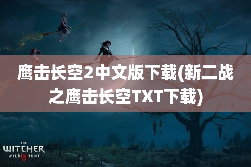 鹰击长空2中文版下载(新二战之鹰击长空TXT下载)