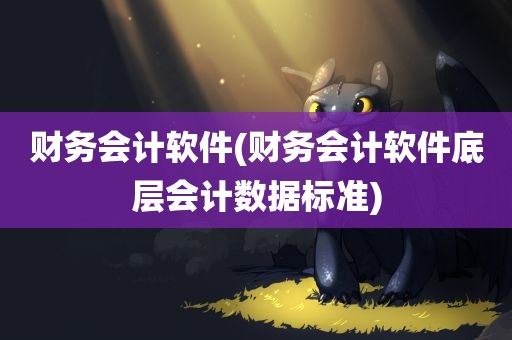 财务会计软件(财务会计软件底层会计数据标准)