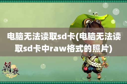 电脑无法读取sd卡(电脑无法读取sd卡中raw格式的照片)