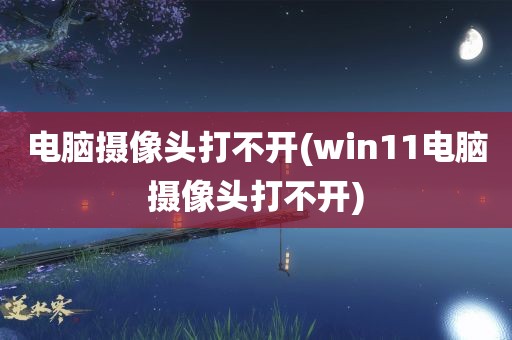 电脑摄像头打不开(win11电脑摄像头打不开)