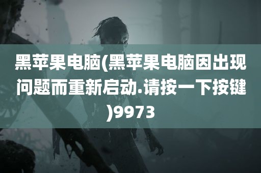 黑苹果电脑(黑苹果电脑因出现问题而重新启动.请按一下按键)9973