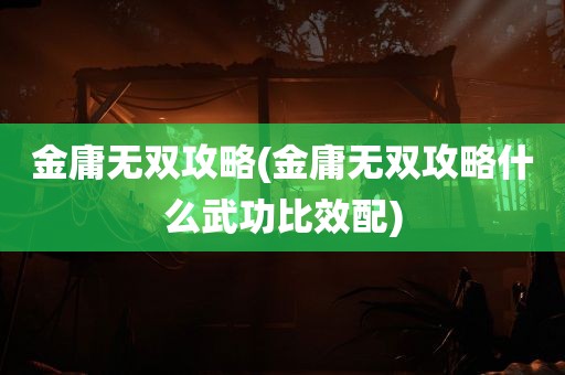 金庸无双攻略(金庸无双攻略什么武功比效配)