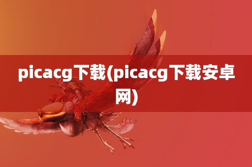 picacg下载(picacg下载安卓网)