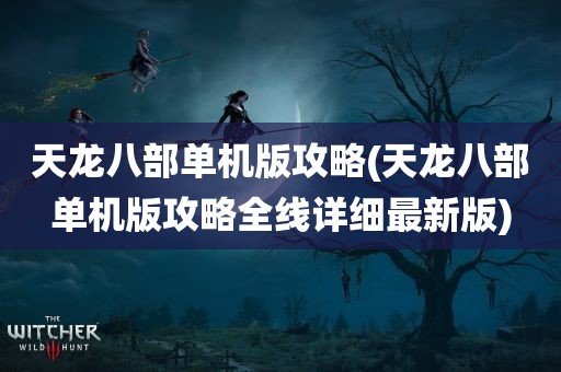 天龙八部单机版攻略(天龙八部单机版攻略全线详细最新版)