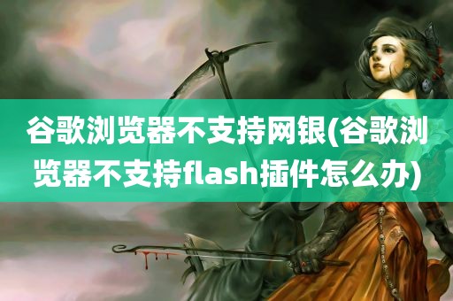 谷歌浏览器不支持网银(谷歌浏览器不支持flash插件怎么办)