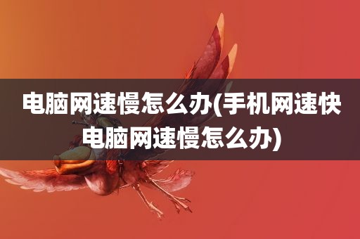 电脑网速慢怎么办(手机网速快电脑网速慢怎么办)