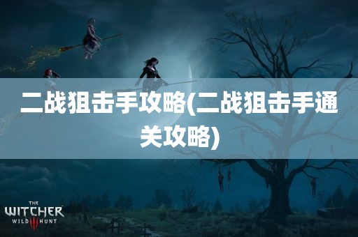 二战狙击手攻略(二战狙击手通关攻略)