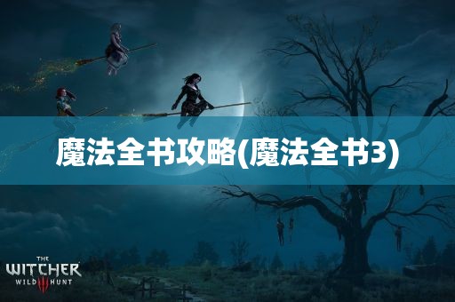 魔法全书攻略(魔法全书3)