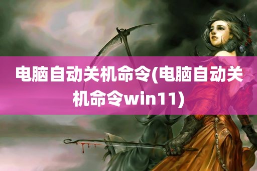 电脑自动关机命令(电脑自动关机命令win11)