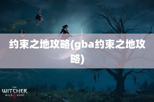 约束之地攻略(gba约束之地攻略)