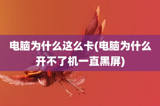 电脑为什么这么卡(电脑为什么开不了机一直黑屏)