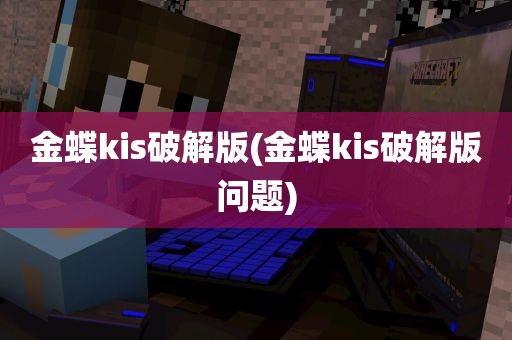 金蝶kis破解版(金蝶kis破解版问题)