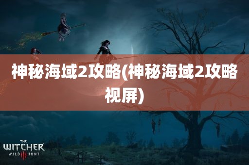 神秘海域2攻略(神秘海域2攻略视屏)