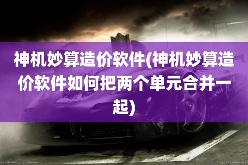 神机妙算造价软件(神机妙算造价软件如何把两个单元合并一起)