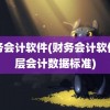 财务会计软件(财务会计软件底层会计数据标准)