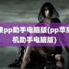 苹果pp助手电脑版(pp苹果手机助手电脑版)