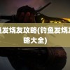 钓鱼发烧友攻略(钓鱼发烧友攻略大全)