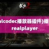 (realcodec播放器插件)播放器realplayer