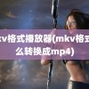 mkv格式播放器(mkv格式怎么转换成mp4)