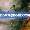 金心攻略(金心图文攻略)