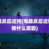 电脑反应迟钝(电脑反应迟钝卡顿什么原因)