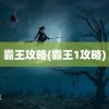 霸王攻略(霸王1攻略)