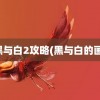 黑与白2攻略(黑与白的画)