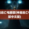 神庙逃亡电脑版(神庙逃亡电脑版中文版)