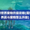 魔兽世界宠物升级攻略(魔兽世界战斗宠物怎么升级)