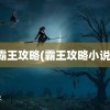 霸王攻略(霸王攻略小说)