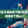 死或生沙滩排球下载(死或生沙滩排球下载pc)