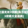 真三国无双3攻略(真三国无双3攻略大全道具)