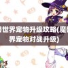 魔兽世界宠物升级攻略(魔兽世界宠物对战升级)