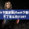 flash下载安装(flash下载安装不了怎么办)1207