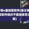 金士顿u盘加密软件(金士顿u盘加密软件损坏不能加密怎么恢复)