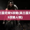 真三国无双5攻略(真三国无双5攻略人物)