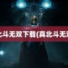 真北斗无双下载(真北斗无双2)