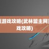 网页游戏攻略(武林盟主网页游戏攻略)