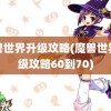 魔兽世界升级攻略(魔兽世界升级攻略60到70)