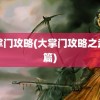 大掌门攻略(大掌门攻略之武功篇)