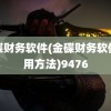 金碟财务软件(金碟财务软件使用方法)9476