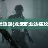 龙武攻略(龙武职业选择攻略)