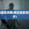 泰拉瑞亚攻略(泰拉瑞亚攻略盒子)