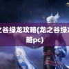 龙之谷绿龙攻略(龙之谷绿龙攻略pc)