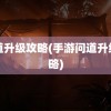 问道升级攻略(手游问道升级攻略)