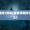 雯雅婷5攻略(桌宠雯雅婷是什么)