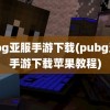 pubg亚服手游下载(pubg亚服手游下载苹果教程)