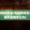 电脑网络安全(电脑网络安全密钥不正确怎么办)